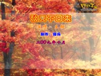 爱不再回来 杨廷廷-杨廷廷 精彩_17173游戏视