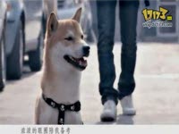 后弦 娃娃脸MV_17173游戏视频