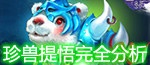 珍兽提悟分析