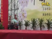 孔莹-《说唱脸谱》深圳公益演出_17173游戏视