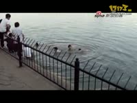 河南新郑龙湖一中布鞋女孩被打现场_17173