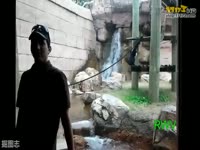 雨宫琴音の身手不错_17173游戏视频