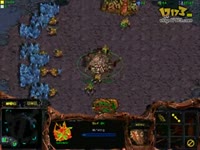 星际争霸-小色教你打星际3_17173游戏视频