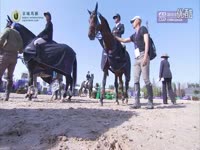 洞萧独奏曲 草原之夜 笛子独奏 经典老歌流行歌