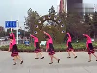 热点视频 内蒙古鸿雁舞蹈队跳广场舞山里红-游