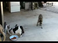 围观<em>穹妹吃棒冰</em>3分种耐久_17173游戏视频