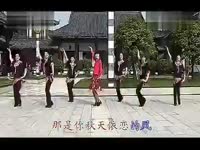 最新广场舞教学:又见山里红 背面及分解-广场舞