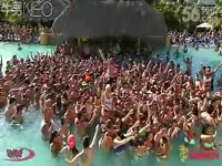 台湾辣妹抖奶版哈林摇_17173游戏视频