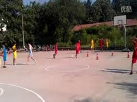 小雪第一次训练-边牧 最热视频_17173游戏视频