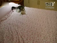 【<em>俺妹</em>】<em>H</em>!<em>H</em>!我要告诉警察哦!_17173游戏视频