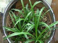 m2ts转mp4上传测试_17173游戏视频