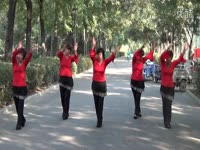 李开心广场舞藕断丝连三步踩双人舞及分解-健
