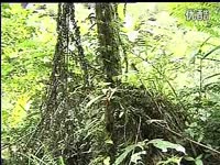 热门合集 <em>贵阳织金山歌</em>1 标清-游戏视频_1717