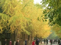 辽宁大学信息学院2013新生联欢会歌曲《相亲