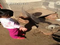 4.3_1-室内设计实例教程扮家家三毛设计+表现