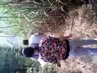 学炒菜-游戏视频 高清预告_17173游戏视频