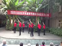2013最新广场舞 DJ 映山红-游戏视频 高清预告
