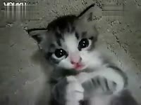 搞笑恶搞彩虹糖的梦-三炮山人组之2人世界 标