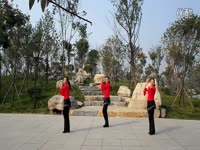 陆羽艳阳天广场舞光芒-陆羽 精华内容_17173游