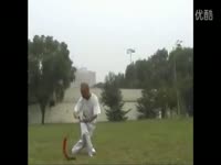 方世玉1锵锵锵锵-DJ小威_17173游戏视频