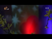 经典视频 20131029 山东卫视.<em>天下女人</em>.<em>尚雯婕</em>