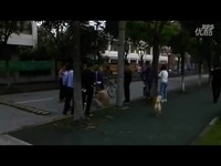 精彩视频 保安打老人遭围殴 底层人相互欺负更