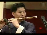 免费视频 张维良笛子独奏 太湖春-马迪_17173