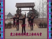 曲阜迎宾广场舞草原醉(附背面演示)-游戏视频 