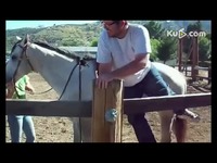 土豪百万租女友过年:<em>粉木耳</em>优先_17173游戏视