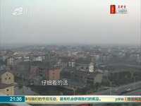 蓝天观赏鸽论坛_17173游戏视频