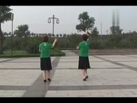 视频专辑 中老年简易版广场舞 最炫民族风_广