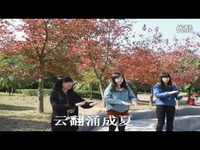 热点 时间煮雨-by BNUZ手语协会-表演_17173