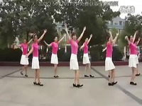 场舞雪莲花姑娘背面分解动作 广场舞红雪莲五