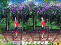 如皋东陈镇雪岸社区醉夕阳广场舞 这条街-如皋