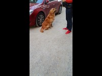 视频: 十以内加减乘除,旋风算数-游戏视频 视频