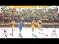 可爱玫瑰花广场舞 草原上的月光 适合中老年人