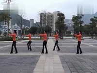 【草原情哥哥】马尾凤飞广场舞(附背面演示)_