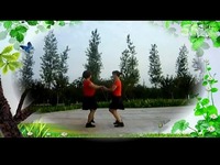 舞之恋广场舞双人舞美丽的七仙女-游戏视频 焦