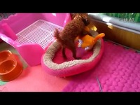 钢铁侠游戏解说-游戏视频 预告_17173游戏视频