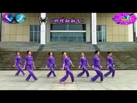 蝴蝶翩翩飞-紫蝶踏歌广场舞(正面演示及口令动
