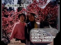 背景音乐--张含韵 妈妈我爱你-妈妈我爱你 完整