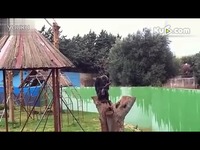 我是超强<em>音译</em>帝 <em>OH</em> <em>少女时代</em> 恶搞视频_17173