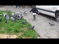 【萌妹子】视频妹丝袜控_17173游戏视频美美学生情趣的蛋图片