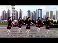 <em>惠汝广场舞 妹妹的情歌</em>原创(正反演示附分解口