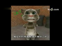 【锦州版】会说话的汤姆猫《痛经的女纸伤不起