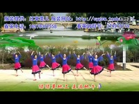 草原我的最爱-春英广场舞(背面与分解)-游戏 热