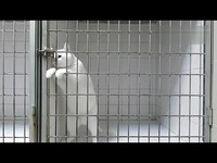 最新片段 曾惠林广场舞 烟花三月下扬州 (正背