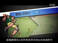 自由足球九大职业介绍视频(自由人)-自由篮球 