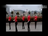 2014最新广场舞 教学 视频中老年伤不起 标清-