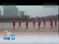 广场舞 绿旋风(分解动作)-视频 独家视频_1717